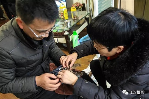 MG4355线路检测中心,湖南野活泼物追踪,湖南卫星追踪器,湖南追踪器