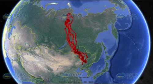 MG4355线路检测中心,湖南野活泼物追踪,湖南卫星追踪器,湖南追踪器
