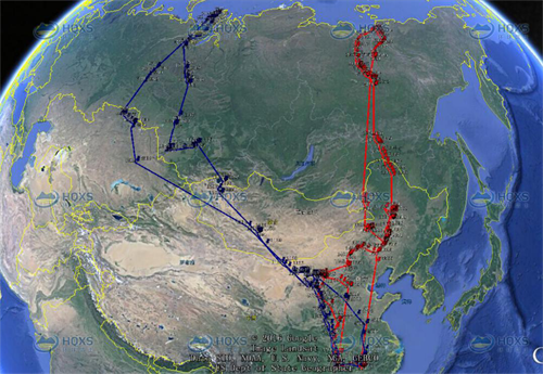 MG4355线路检测中心,湖南野活泼物追踪,湖南卫星追踪器,湖南追踪器