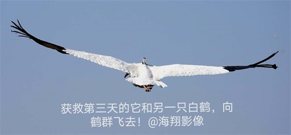 MG4355线路检测中心,湖南野活泼物追踪,湖南卫星追踪器,湖南追踪器