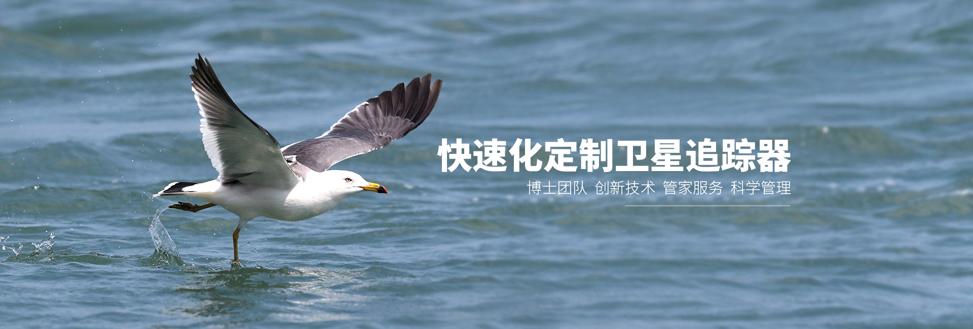 MG4355线路检测中心_湖南野活泼物追踪|湖南卫星追踪器