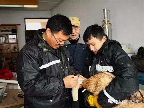 MG4355线路检测中心,湖南野活泼物追踪,湖南卫星追踪器,湖南追踪器