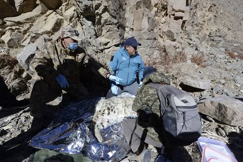 MG4355线路检测中心,湖南野活泼物追踪,湖南卫星追踪器,湖南追踪器