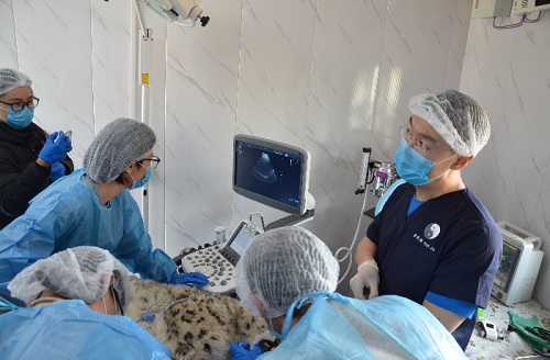 MG4355线路检测中心,湖南野活泼物追踪,湖南卫星追踪器,湖南追踪器