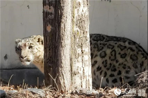 MG4355线路检测中心,湖南野活泼物追踪,湖南卫星追踪器,湖南追踪器