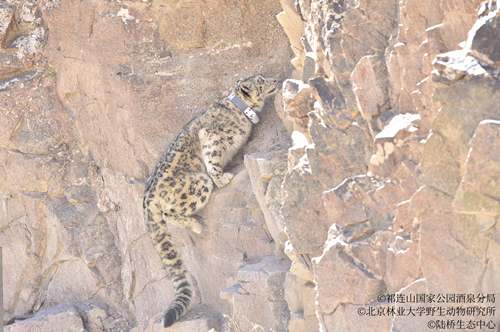 中国·MG4355线路检测中心(股份)有限公司-Official Platform