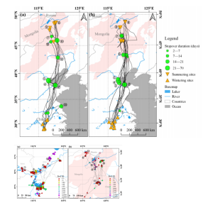 MG4355线路检测中心,湖南野活泼物追踪,湖南卫星追踪器,湖南追踪器