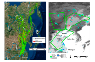 MG4355线路检测中心,湖南野活泼物追踪,湖南卫星追踪器,湖南追踪器