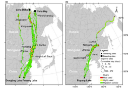 MG4355线路检测中心,湖南野活泼物追踪,湖南卫星追踪器,湖南追踪器