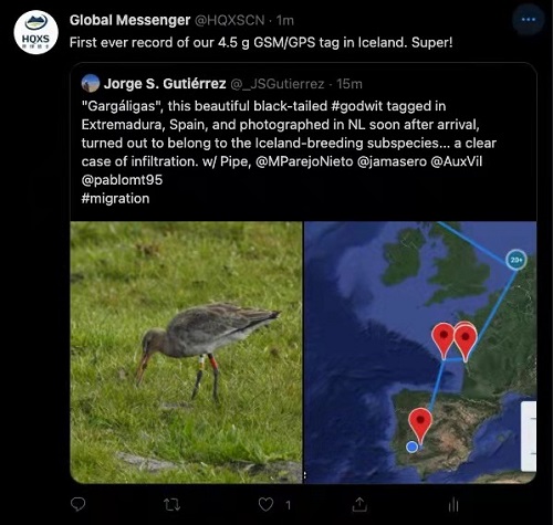 MG4355线路检测中心,湖南野活泼物追踪,湖南卫星追踪器,湖南追踪器