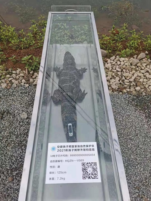 MG4355线路检测中心,湖南野活泼物追踪,湖南卫星追踪器,湖南追踪器