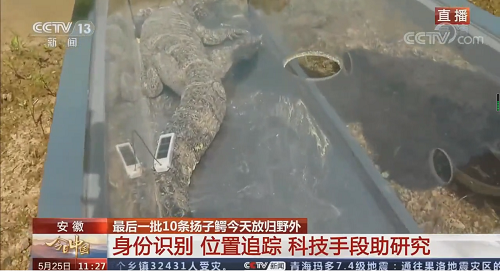 MG4355线路检测中心,湖南野活泼物追踪,湖南卫星追踪器,湖南追踪器