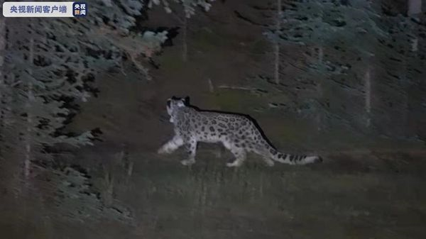 MG4355线路检测中心,湖南野活泼物追踪,湖南卫星追踪器,湖南追踪器