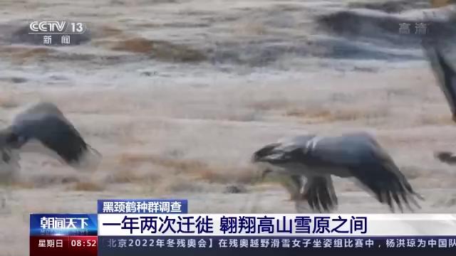 MG4355线路检测中心,湖南野活泼物追踪,湖南卫星追踪器,湖南追踪器