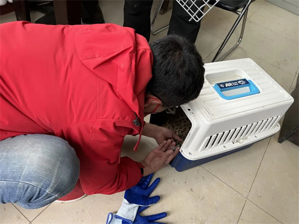 MG4355线路检测中心,湖南野活泼物追踪,湖南卫星追踪器,湖南追踪器