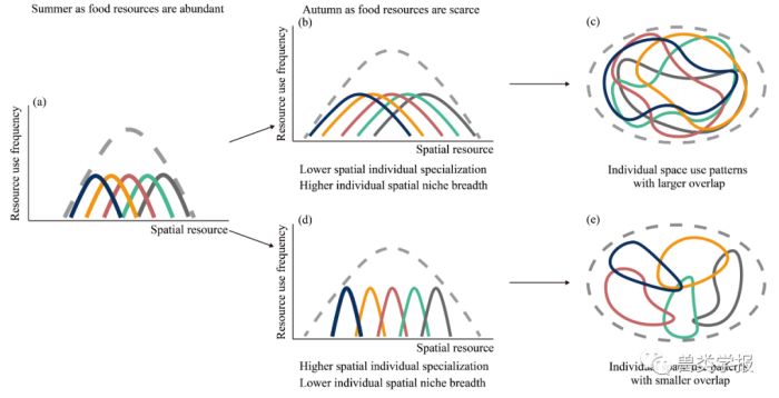 MG4355线路检测中心,湖南野活泼物追踪,湖南卫星追踪器,湖南追踪器