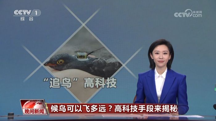 MG4355线路检测中心,湖南野活泼物追踪,湖南卫星追踪器,湖南追踪器