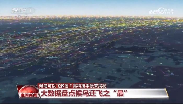 MG4355线路检测中心,湖南野活泼物追踪,湖南卫星追踪器,湖南追踪器