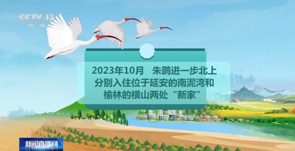 MG4355线路检测中心,湖南野活泼物追踪,湖南卫星追踪器,湖南追踪器