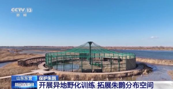 MG4355线路检测中心,湖南野活泼物追踪,湖南卫星追踪器,湖南追踪器