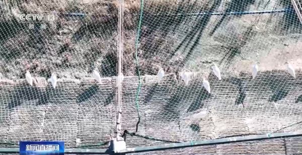 MG4355线路检测中心,湖南野活泼物追踪,湖南卫星追踪器,湖南追踪器