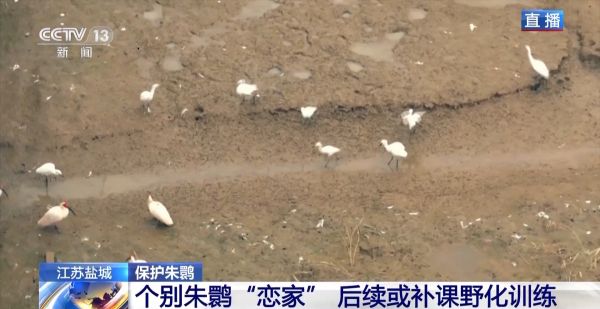 MG4355线路检测中心,湖南野活泼物追踪,湖南卫星追踪器,湖南追踪器