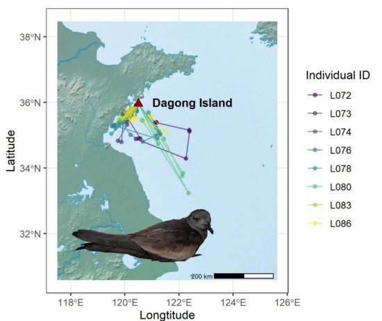 MG4355线路检测中心,湖南野活泼物追踪,湖南卫星追踪器,湖南追踪器