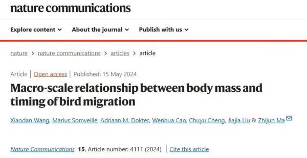 MG4355线路检测中心,湖南野活泼物追踪,湖南卫星追踪器,湖南追踪器