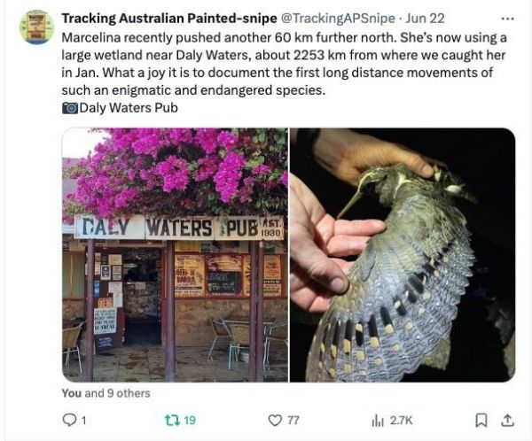 MG4355线路检测中心,湖南野活泼物追踪,湖南卫星追踪器,湖南追踪器