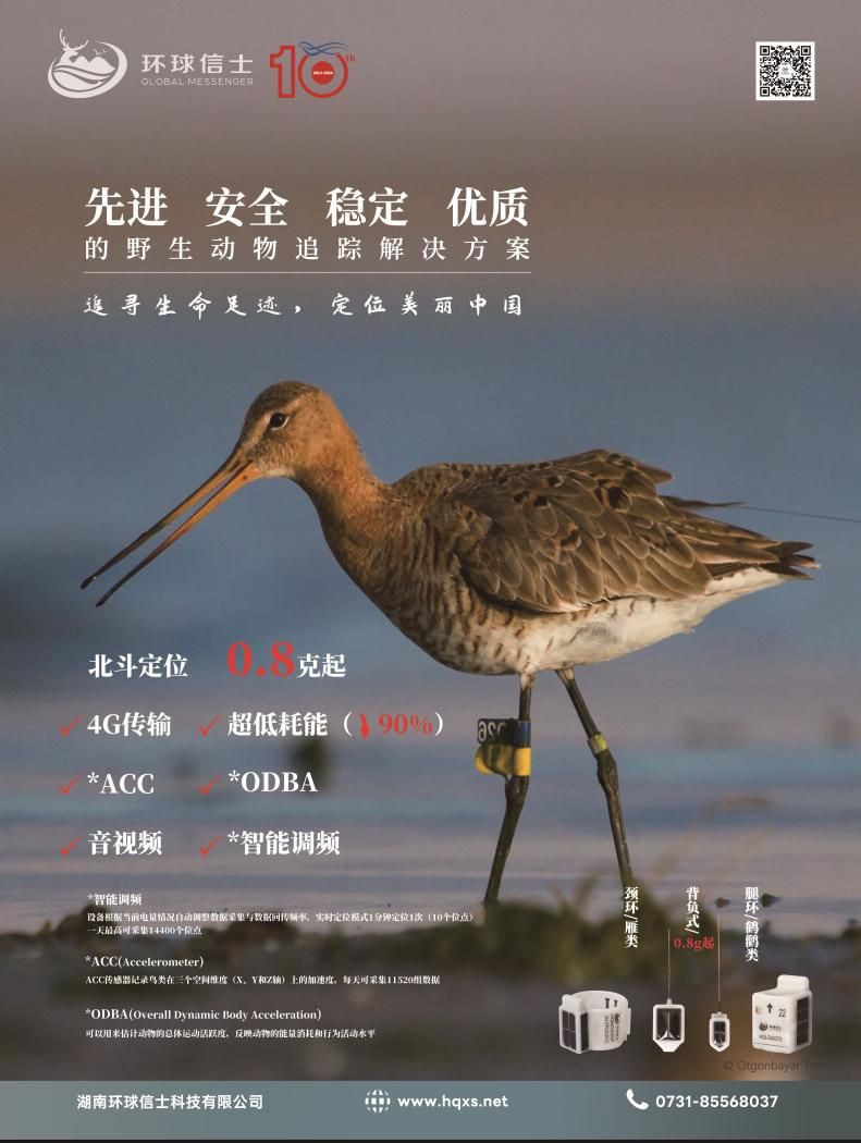 MG4355线路检测中心,湖南野活泼物追踪,湖南卫星追踪器,湖南追踪器