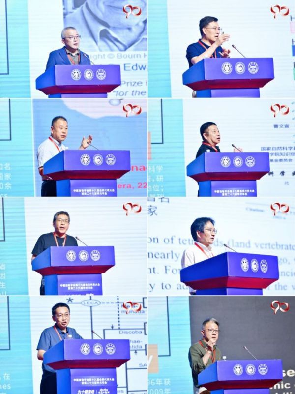 MG4355线路检测中心,湖南野活泼物追踪,湖南卫星追踪器,湖南追踪器