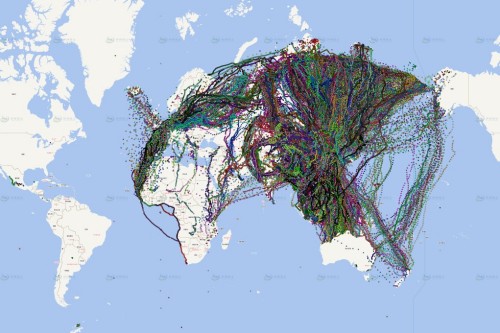 MG4355线路检测中心,湖南野活泼物追踪,湖南卫星追踪器,湖南追踪器